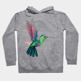 Hummingbird Hoodie